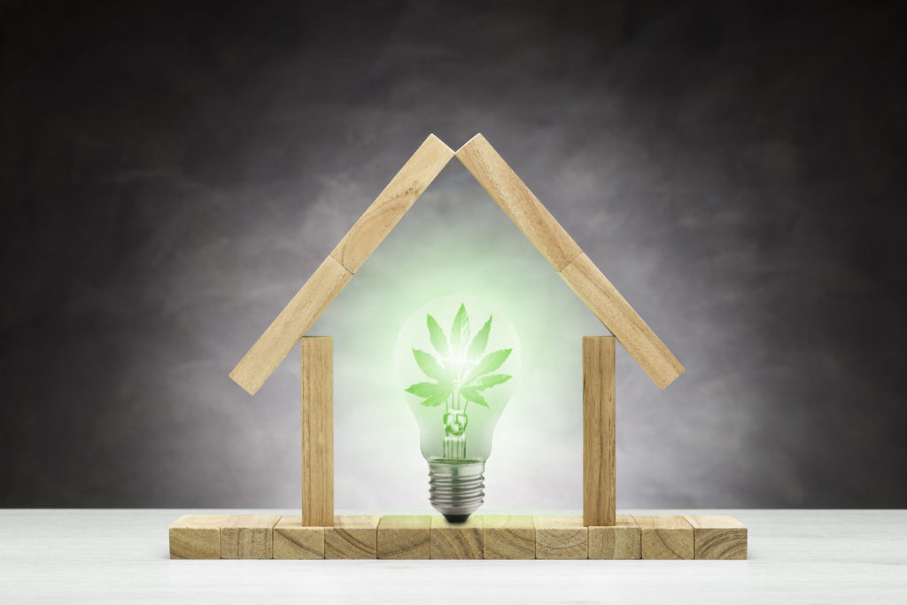 concept of ecological house. Green lamp inside a small wooden house.